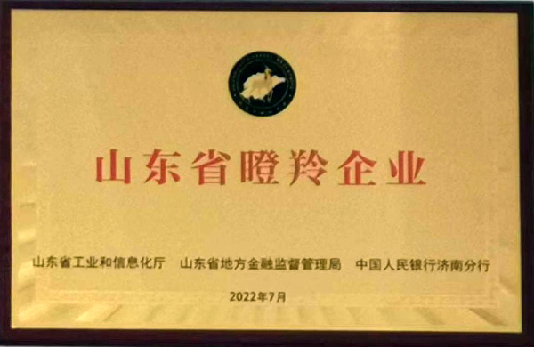 公司榮譽